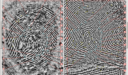 ПАПИЛОН Растр