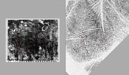 АДИС ПАПИЛОН