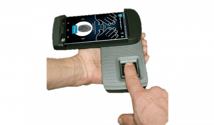 ПАПИЛОН-ДиПП-7